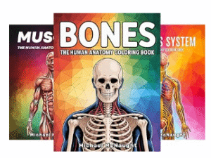 Human Anatomy Coloring Book
