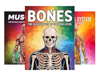 Human Anatomy Coloring Book