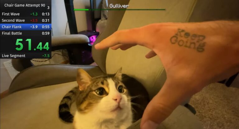 YouTuber turns annoying his cat into a speedrun