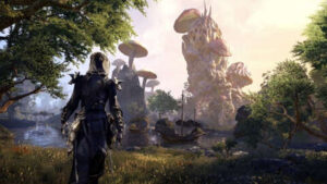 Elder Scrolls TV Series Is Possible, Says Todd Howard