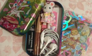 Pokémon fans keep some seriously weird stuff in their TCG boxes