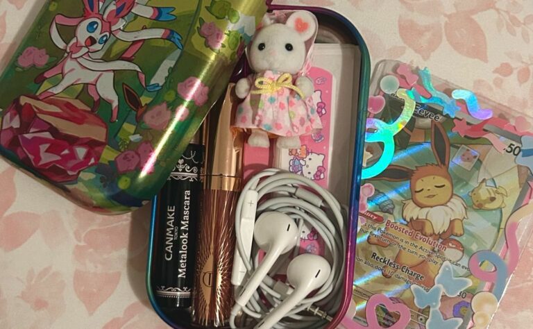 Pokémon fans keep some seriously weird stuff in their TCG boxes