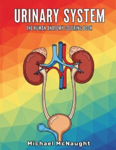 Urinary System: The Human Anatomy Coloring Book
