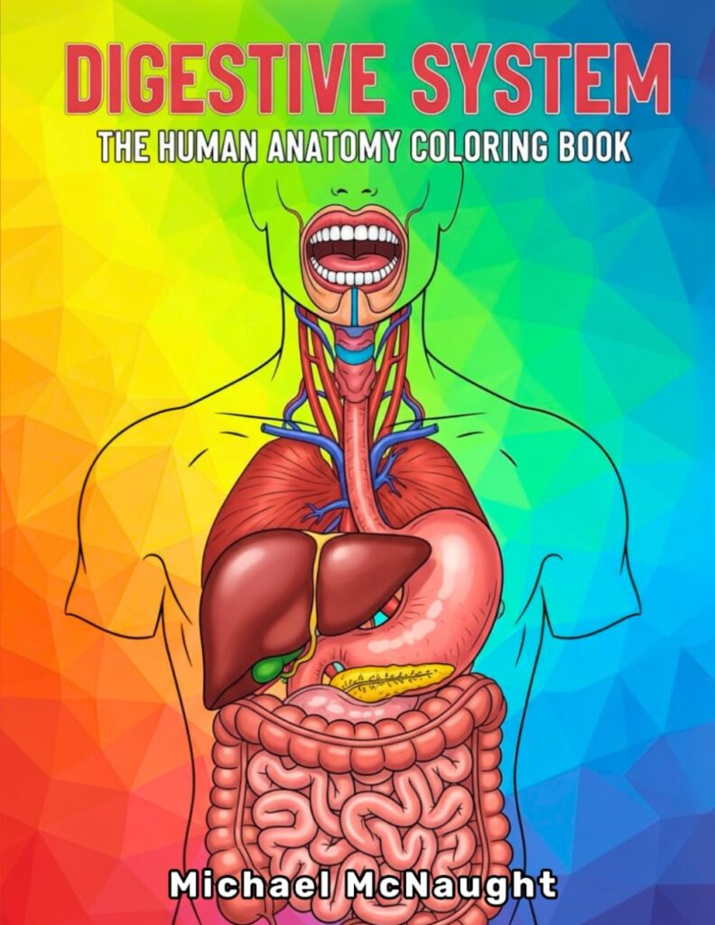 Digestive System: The Human Anatomy Coloring Book
