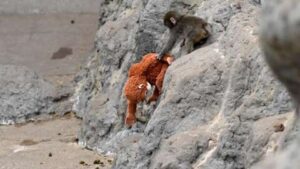 Today’s Games Can Feel “Soulless,” But Can Punch The Monkey Change That?