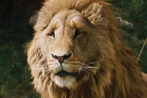 Netflix’s Narnia: The Magician’s Nephew delayed to 2027